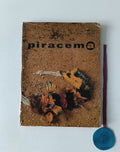 AA. VV. - PIRACEMA: Revista de arte e cultura n.º 1 - Ano 1, 1993