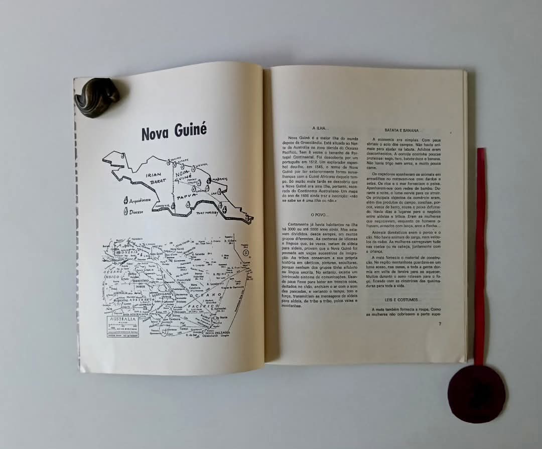 MISSIONÁRIOS DO VERBO DIVINO NA NOVA GUINÉ