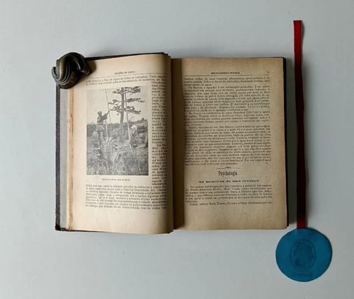 AA. VV. - ENCYCLOPEDIA PRATICA, Milhões de coisas. Volume VIII