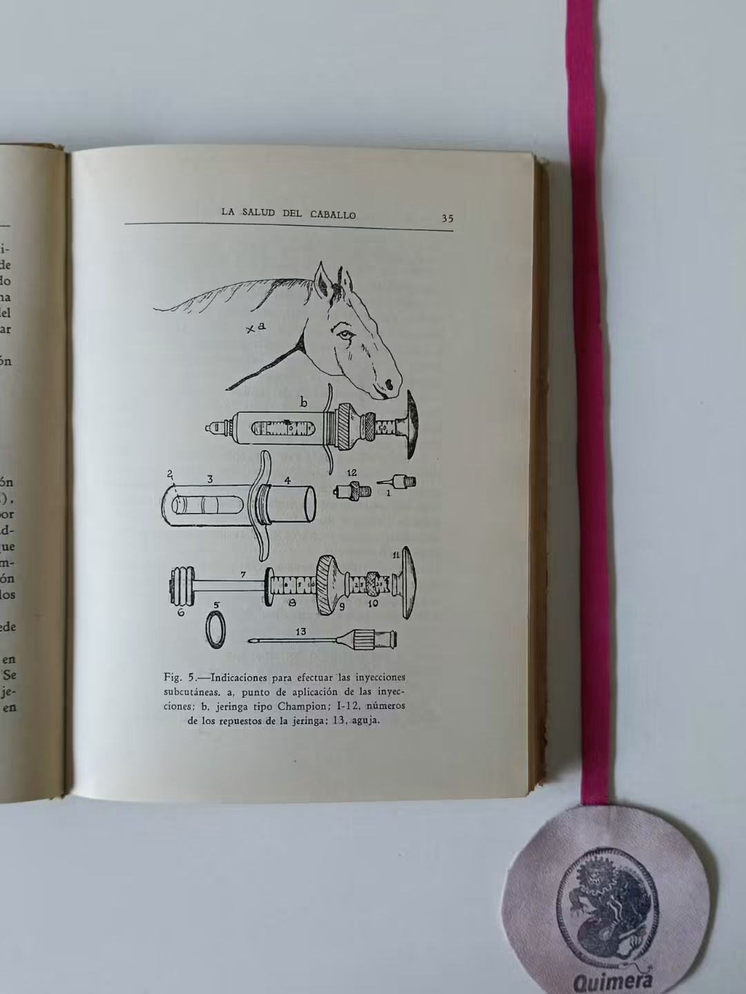 CARO (Gregorio A.). LA SALUD DEL CABALLO Y SUS ENFERMEDADES MAS COMUNES