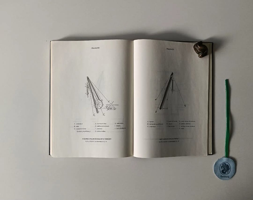 CALLEBAT (Louis) e FLEURY (Philippe). - DICTIONNAIRE DES TERMES TECHNIQUES DU DE ARCHITECTURA DE VITRUVE