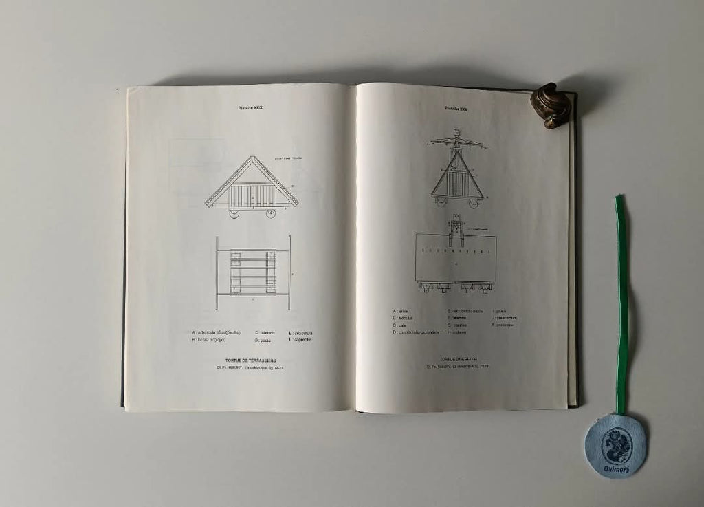 CALLEBAT (Louis) e FLEURY (Philippe). - DICTIONNAIRE DES TERMES TECHNIQUES DU DE ARCHITECTURA DE VITRUVE