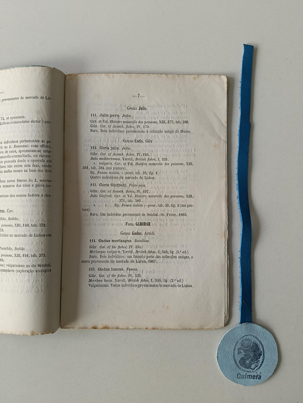 CAPELLO (Felix de Brito). - CATALOGO DOS PEIXES DE PORTUGAL QUE EXISTEM NO MUSEU DE LISBOA