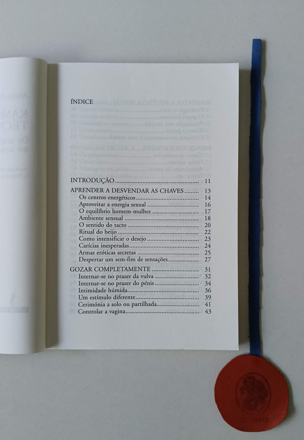 GALLOTTI (Alicia). - KAMASUTRA E OUTRAS TÉCNICAS ORIENTAIS: Os segredos do Oriente ao seu alcance
