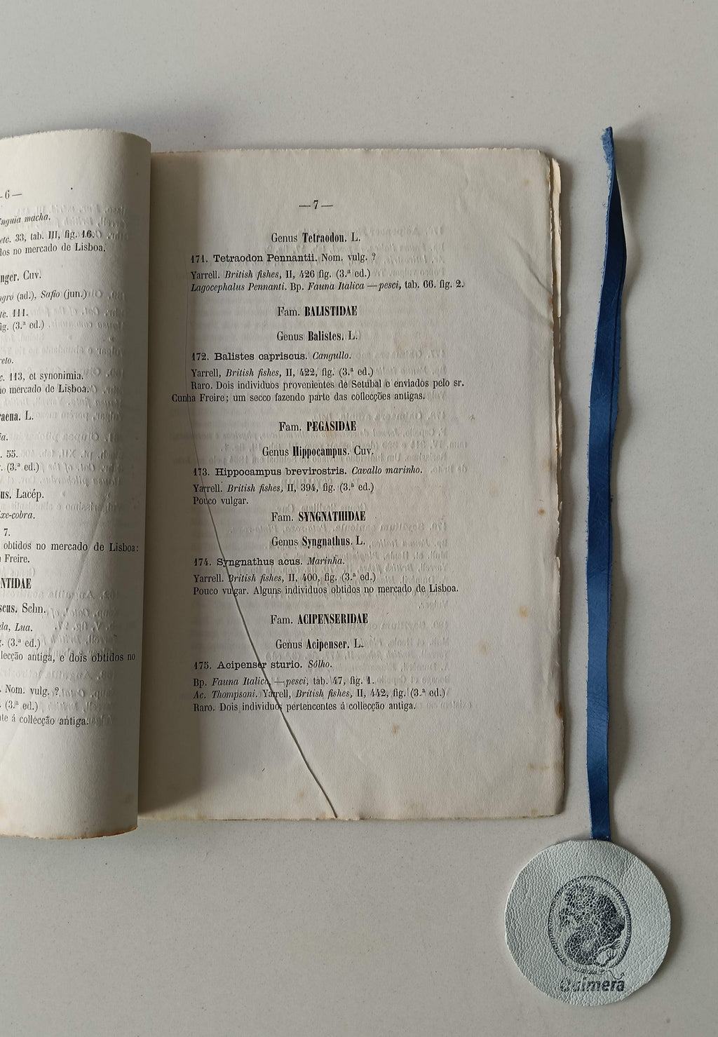 CAPELLO (Felix de Brito). - CATALOGO DOS PEIXES DE PORTUGAL QUE EXISTEM NO MUSEU DE LISBOA