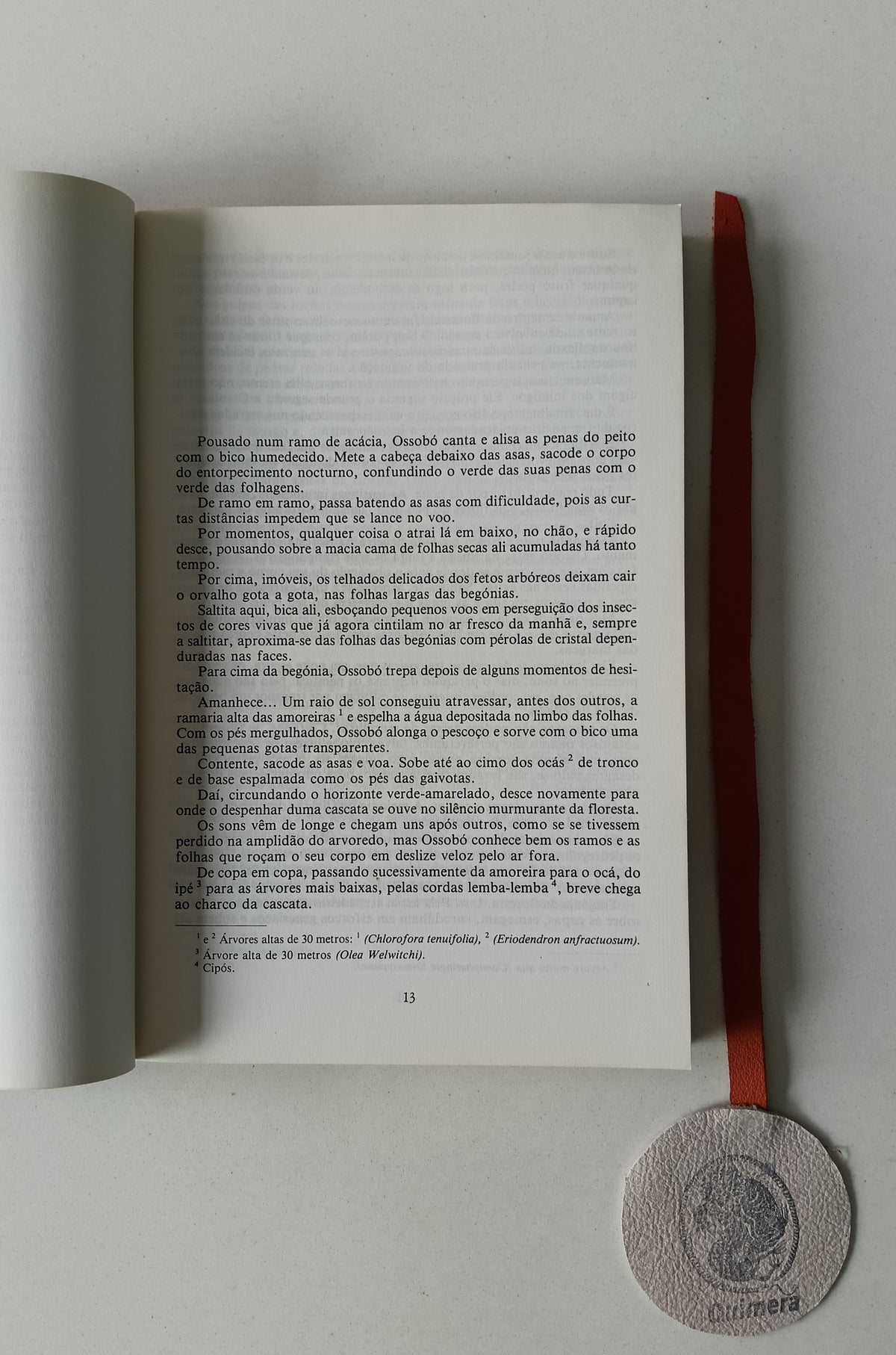 MAGALHÃES (Joaquim Manuel). - RUY CINATTI, Antologia poética