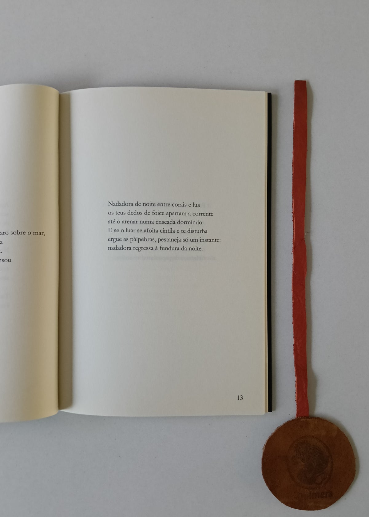 MENDES (Maria da Saudade Cortesão).- O DESDOBRAR DA SOMBRA: seguido de Fragmentos de um Labirinto