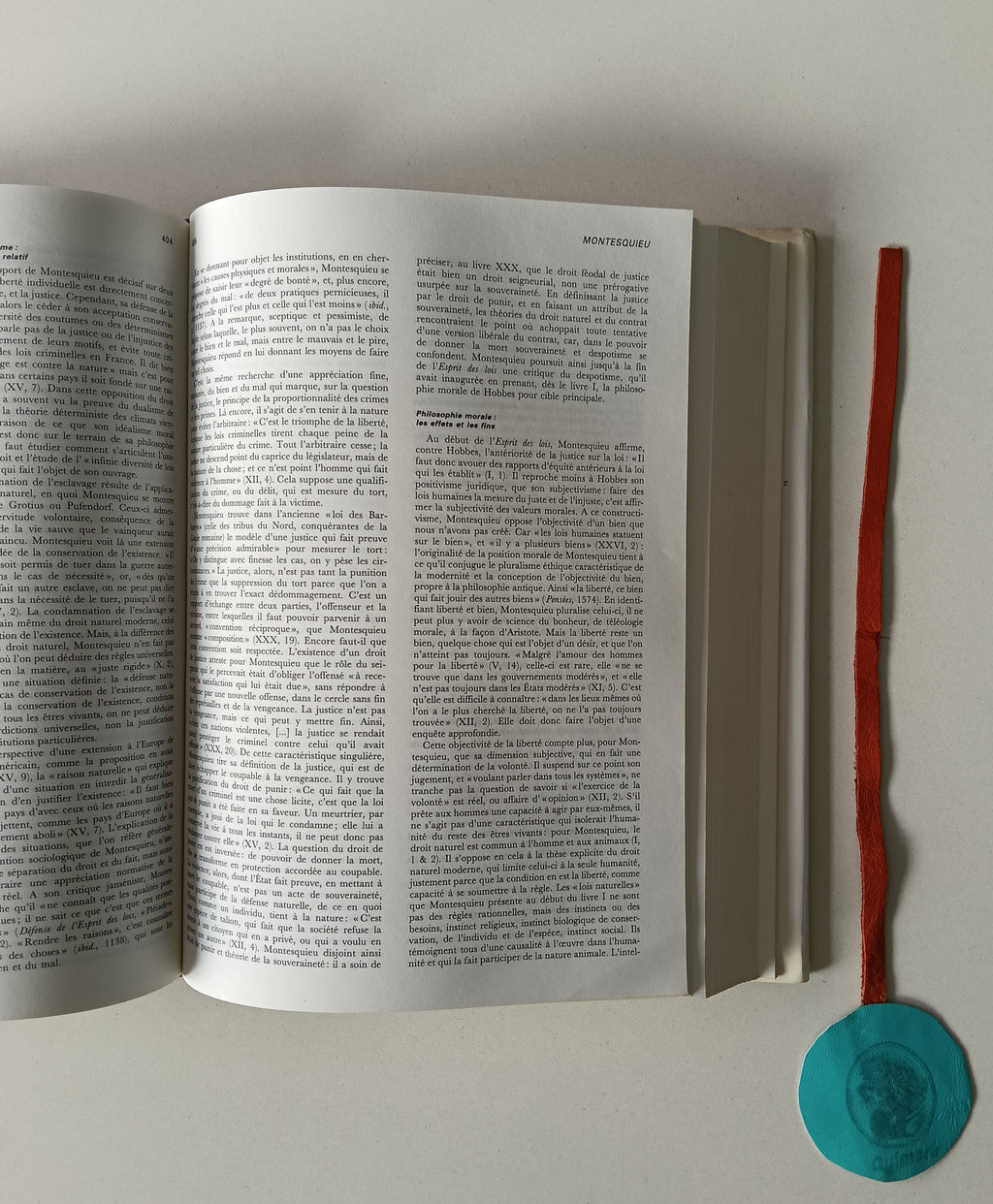 RAYNAUD (Philippe), RIALS (Stéphane). DICTIONNAIRE DE PHILOSOPHIE POLITIQUE